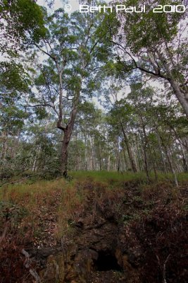 The Ghost Hole Track Gold Mine from 1890