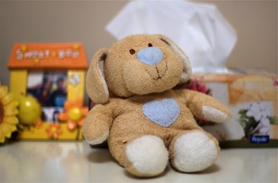 g1/29/843529/3/97134647.QWlriYvJ.jpg