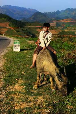 On the road to Bac Ha for the Sunday market.   Vietnam