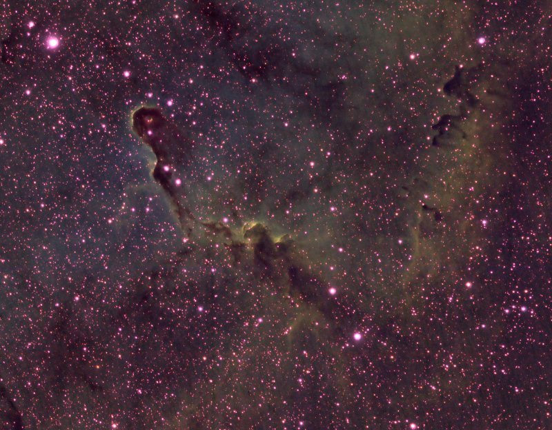IC 1396 - Elephants Trunk Nebula close up