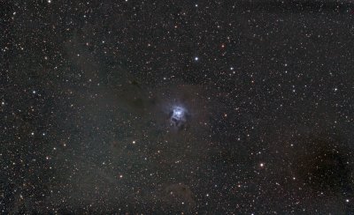 NGC7023 - Iris Nebula LRGB