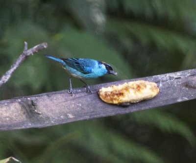 g1/29/891229/3/126045605.YfV59smo.jpg