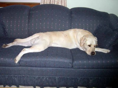 chillin on the new sofa