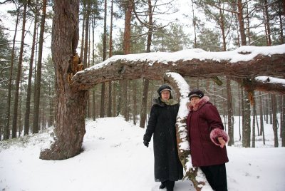 59.jpg