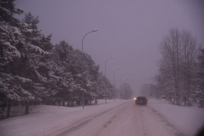 95.jpg