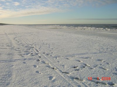78.jpg