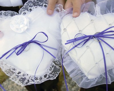 DSC_0204 ring pillows sony sample copy.jpg