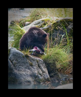 AH! Breakfast Found!