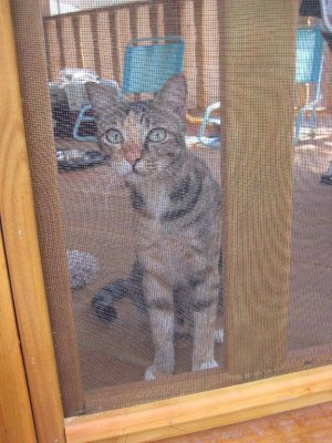 Mitzi ready to explore her new surroundings