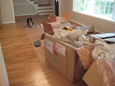 Air freight boxes
