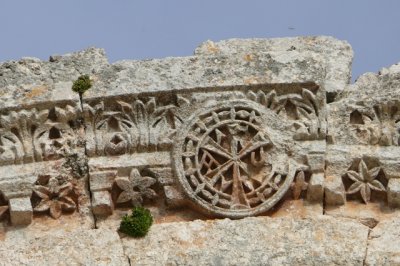 sP1500835.JPG