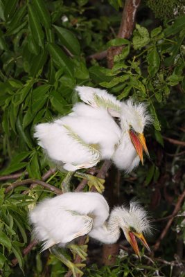 IMG_4848 ew.jpg