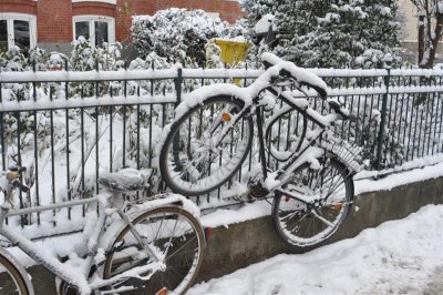 Mating bikes....