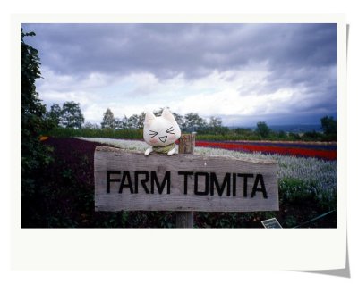 Farm Tomita, Furano