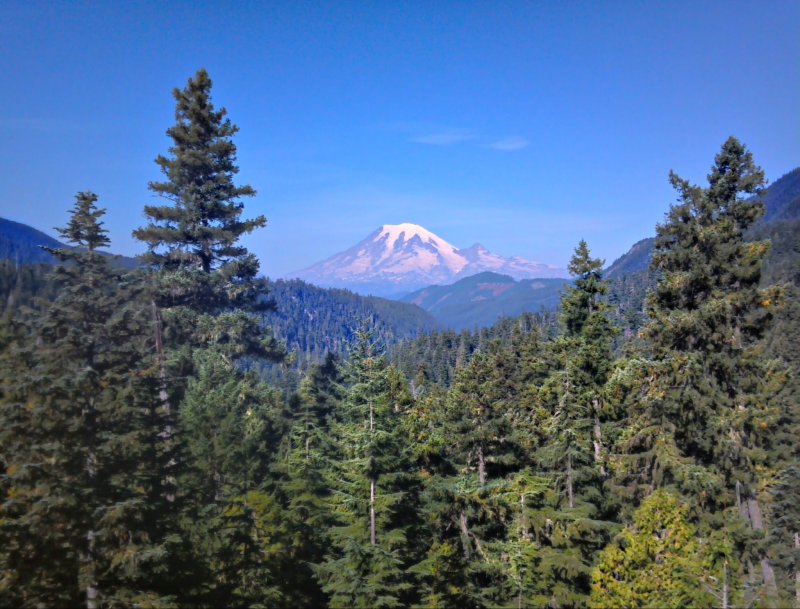 Mt Rainier