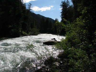 Greys River