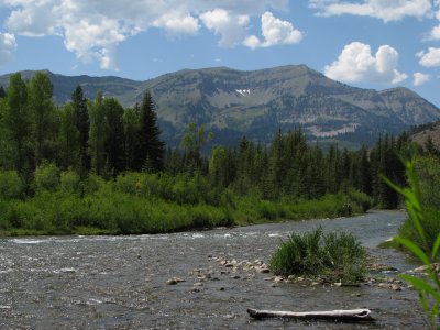 Grey with Salt River Range in background