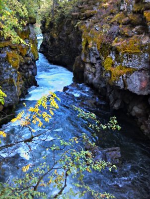 Rogue River Chasm