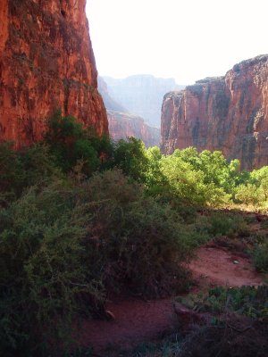 Havasu Canyon