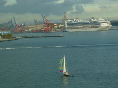 P1000789.JPG
