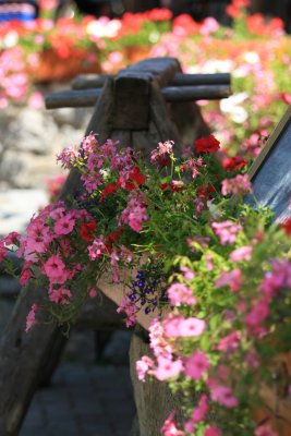 IMG_0577.JPG