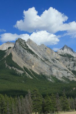 IMG_0932.JPG