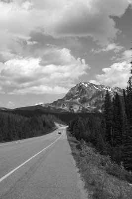 Columbia Icefield Parkway (IMG_0938.JPG)