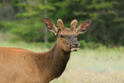 IMG_1364.JPG