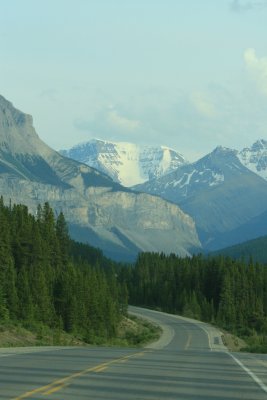 IMG_1390.JPG