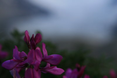 IMG_1448.JPG