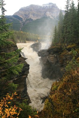 Athabasca Falls (IMG_6540.JPG)