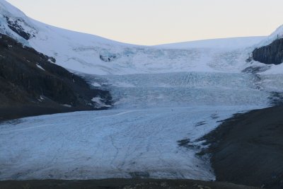 Columbia Icefield (IMG_6654.JPG)