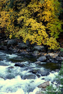 IMG_1742.JPG