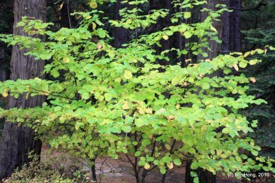 IMG_1774.JPG