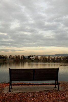 Almaden Lake - 12/16/10