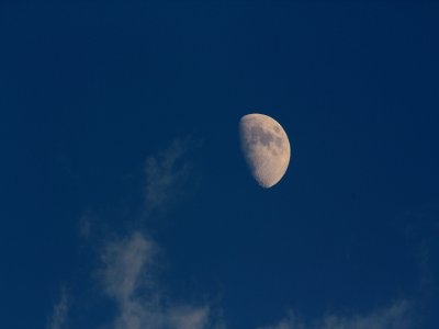 g1/30/24830/3/129602663.hj1uTRil.jpg