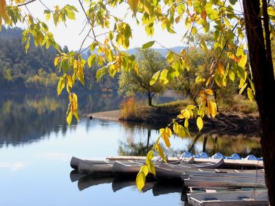 Camping at Lynx Lake