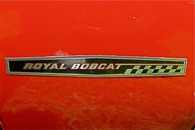 Royal Bobcat