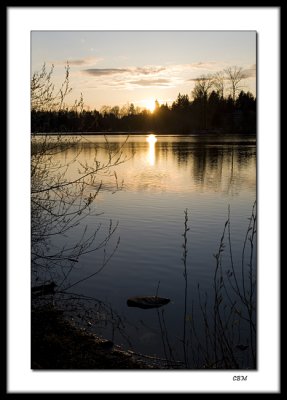 Evening - Mill Lake