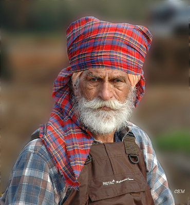 Portrait of cranberry field worker