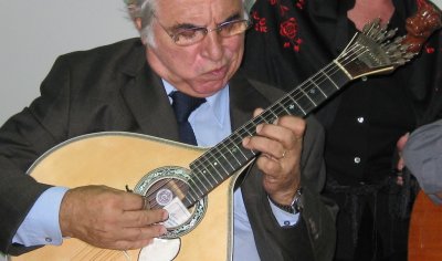 Twelve-string Portuguese guitar