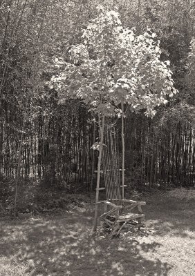 Longhouse Reserve