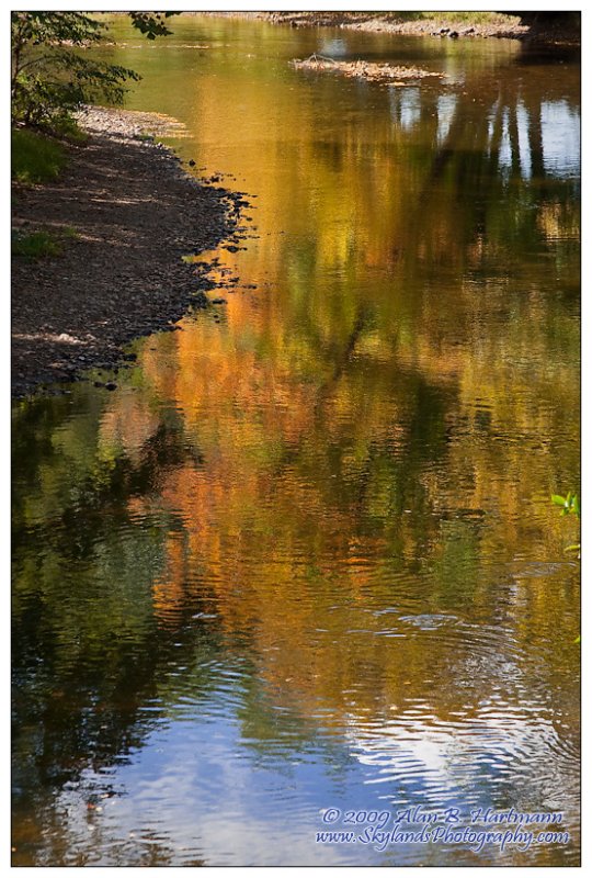 Lamington River #3