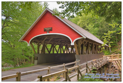 #39 -- Flume Gorge Bridge, Lincoln, NH