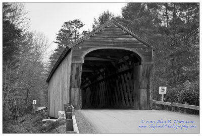 IMG_3374-BW.jpg