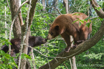 IMG_8076-Edit-Edit.jpg