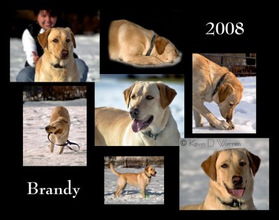 Brandy