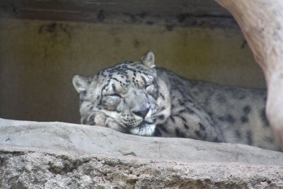 San Diego Zoo, Oct 2009