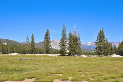 Yosemite Tuolumne Meadows