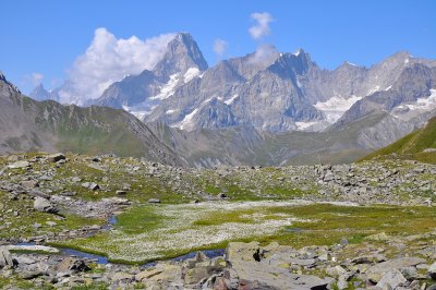 Going up to Col du Bastillon - Grandes Jorasses in the background